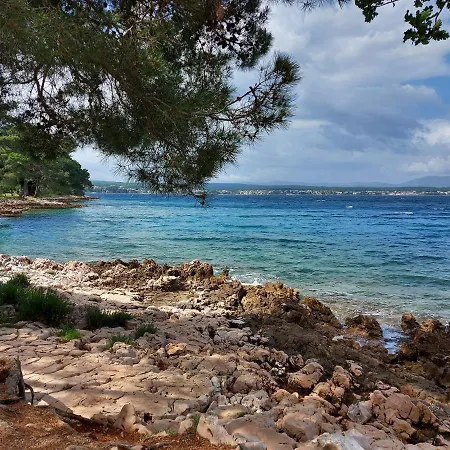 Kraljica Apartment *