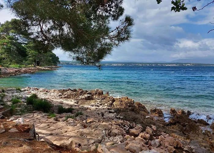 Kraljica Appartement *